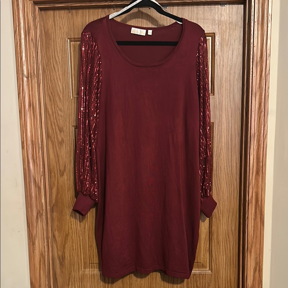 Burgundy Dress with Sequin Sleeves